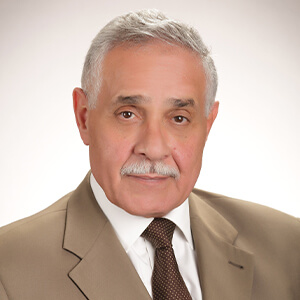 image of Mohamed Elashawah